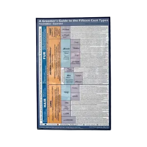 15 Coat Types Poster 11"x17" by Jennifer Bishop Jenkins