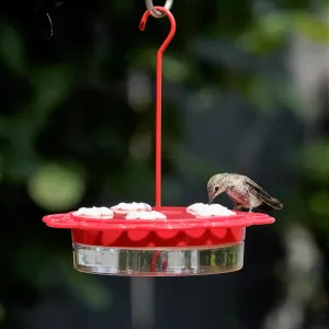 2-in-1 Plastic Dish Hummingbird Feeder