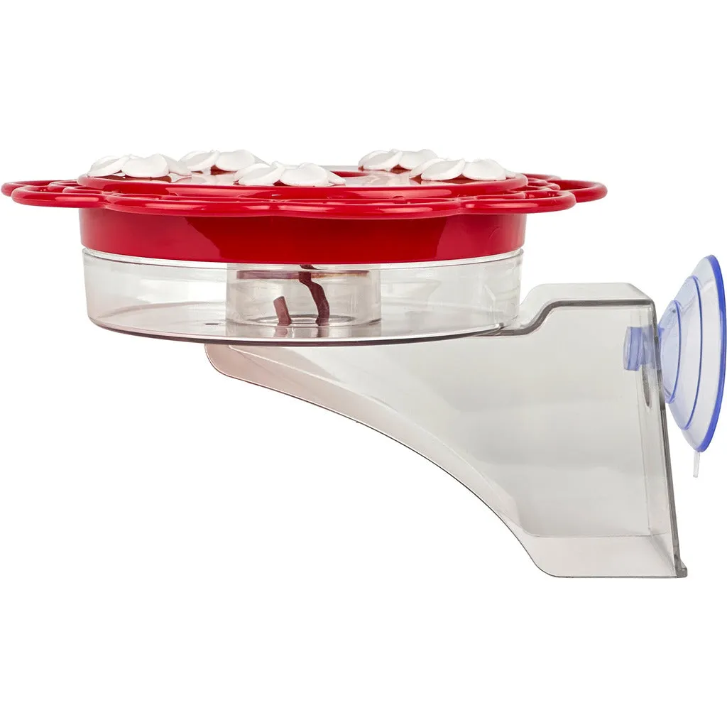 2-in-1 Plastic Dish Hummingbird Feeder