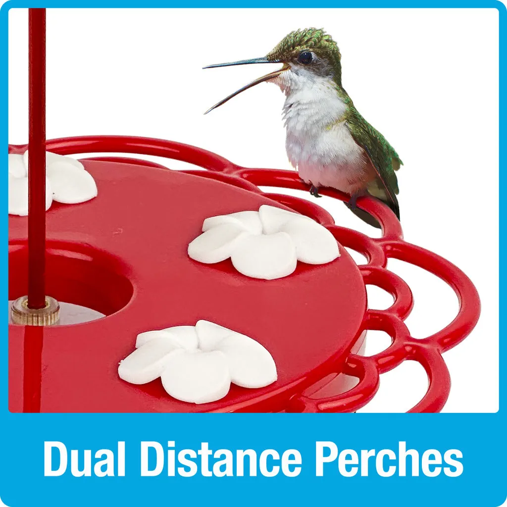 2-in-1 Plastic Dish Hummingbird Feeder