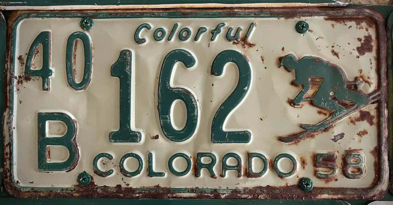 42" Colorado Skier Brown Trout
