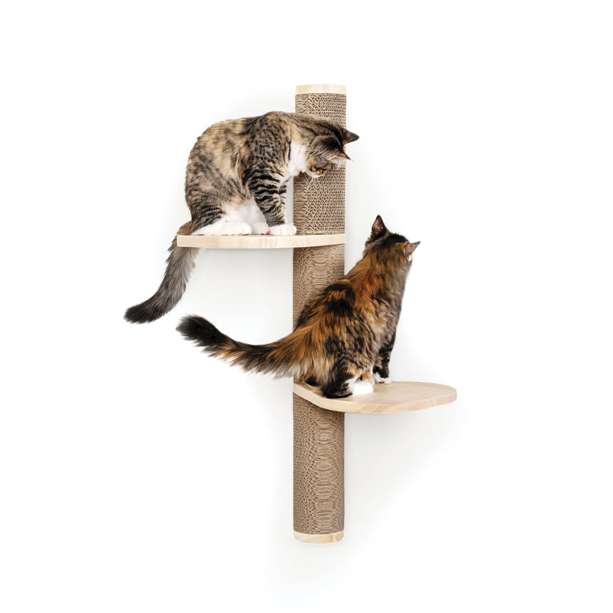 Ascentials by FurHaven Sunrise Steps Cat Post with Perches (34”), Wall-Mounted Customizable Climbing Shelves with Corrugated Cardboard for Scratching