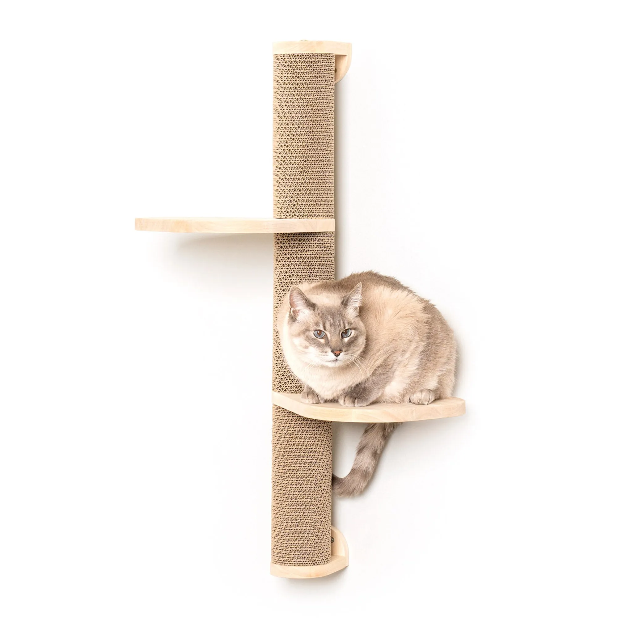 Ascentials by FurHaven Sunrise Steps Cat Post with Perches (34”), Wall-Mounted Customizable Climbing Shelves with Corrugated Cardboard for Scratching