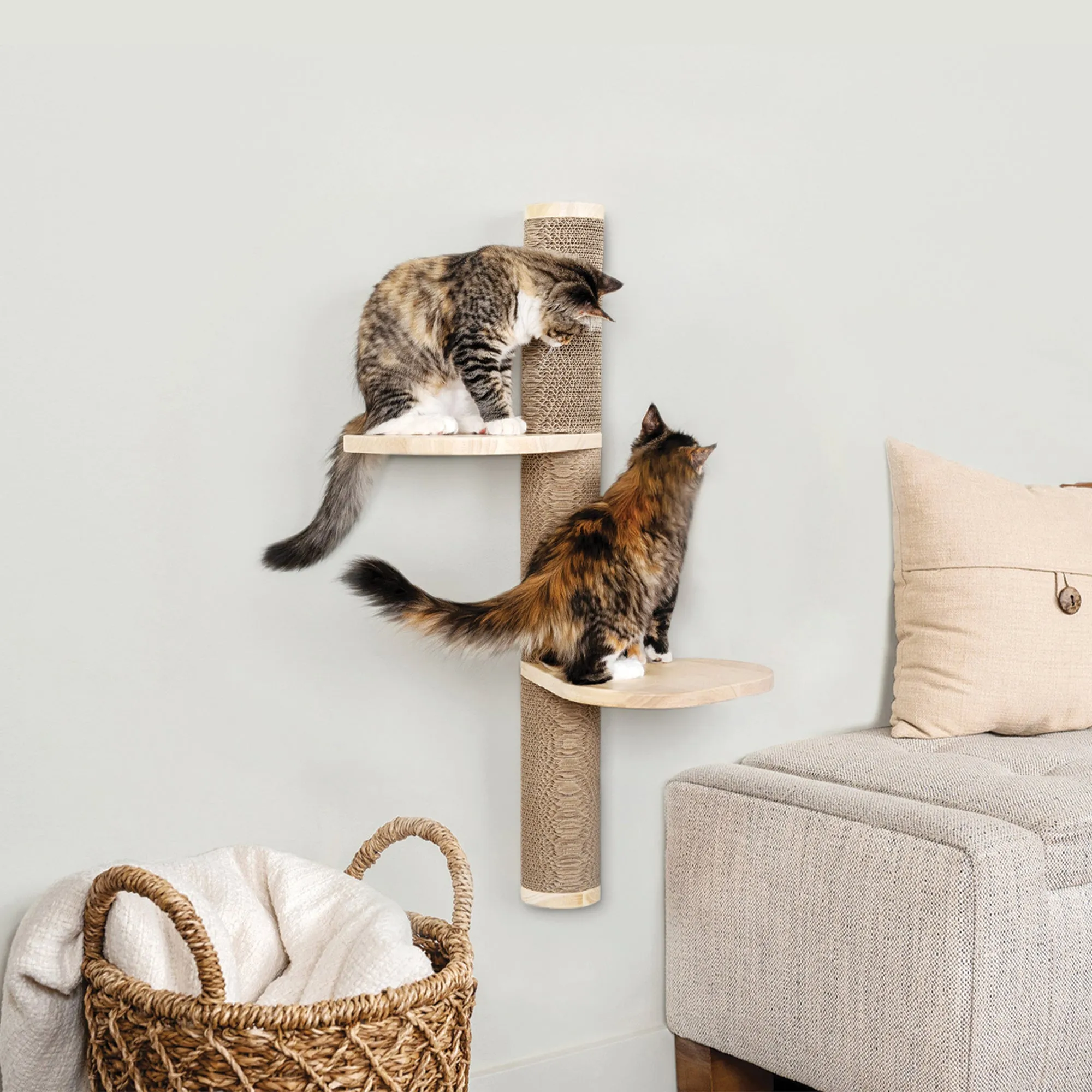 Ascentials by FurHaven Sunrise Steps Cat Post with Perches (34”), Wall-Mounted Customizable Climbing Shelves with Corrugated Cardboard for Scratching