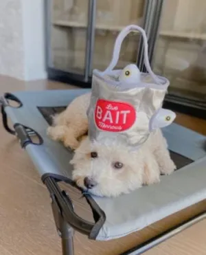 Bait Bucket Hide & Seek Toy
