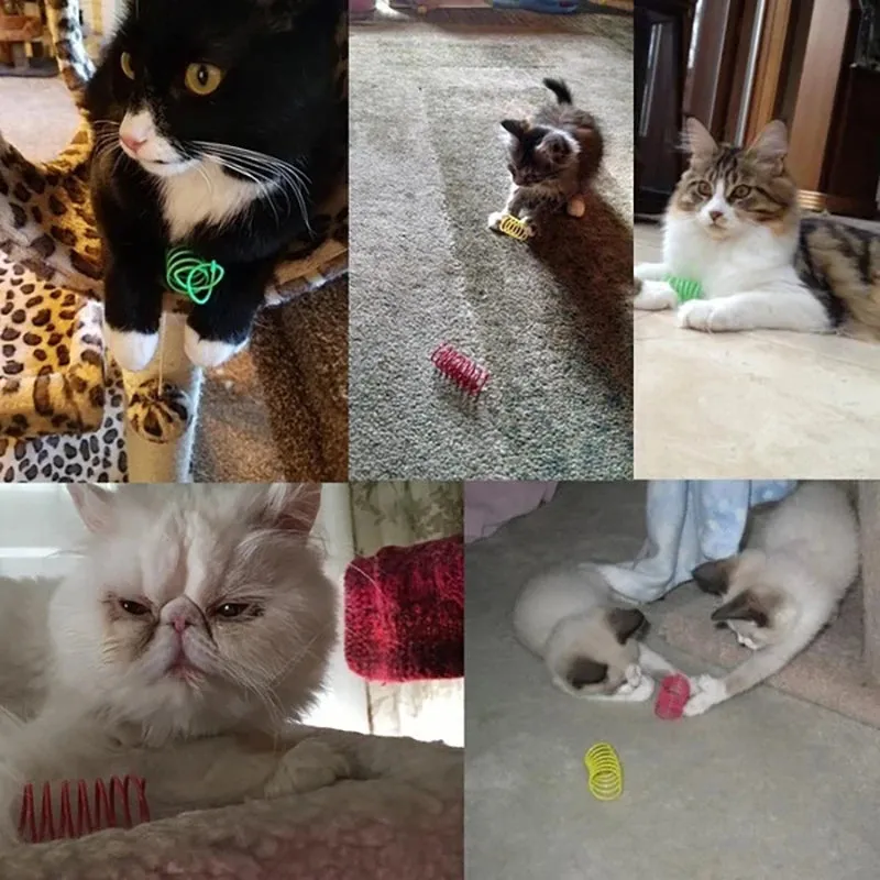 Bouncy Colorful Spring Cat Toys