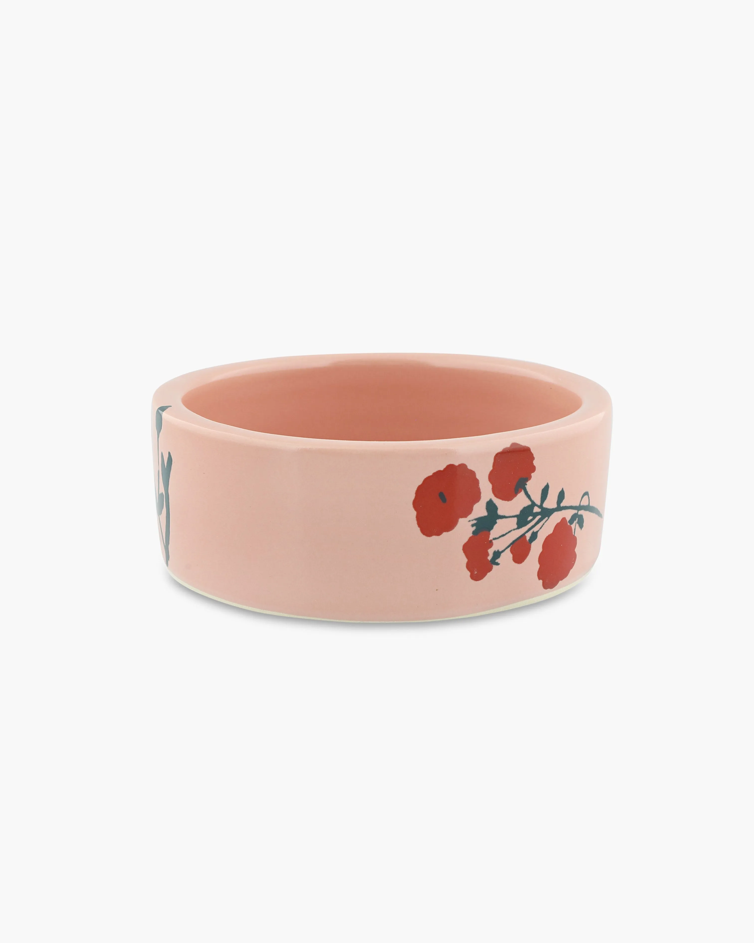 Cat Bowl