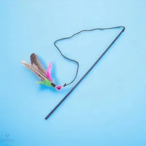 Cat Feather Teasing Wand