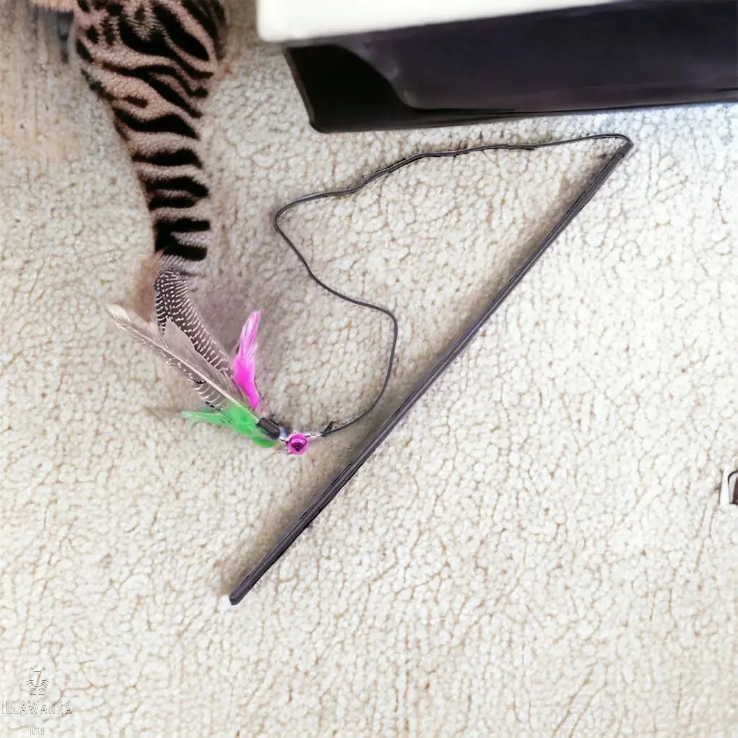 Cat Feather Teasing Wand
