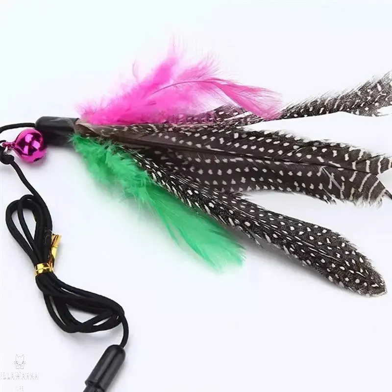 Cat Feather Teasing Wand