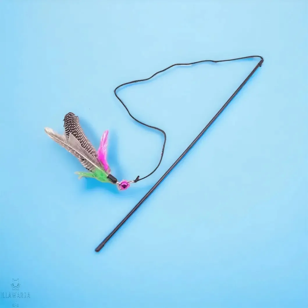 Cat Feather Teasing Wand