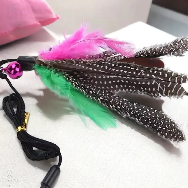 Cat Feather Teasing Wand