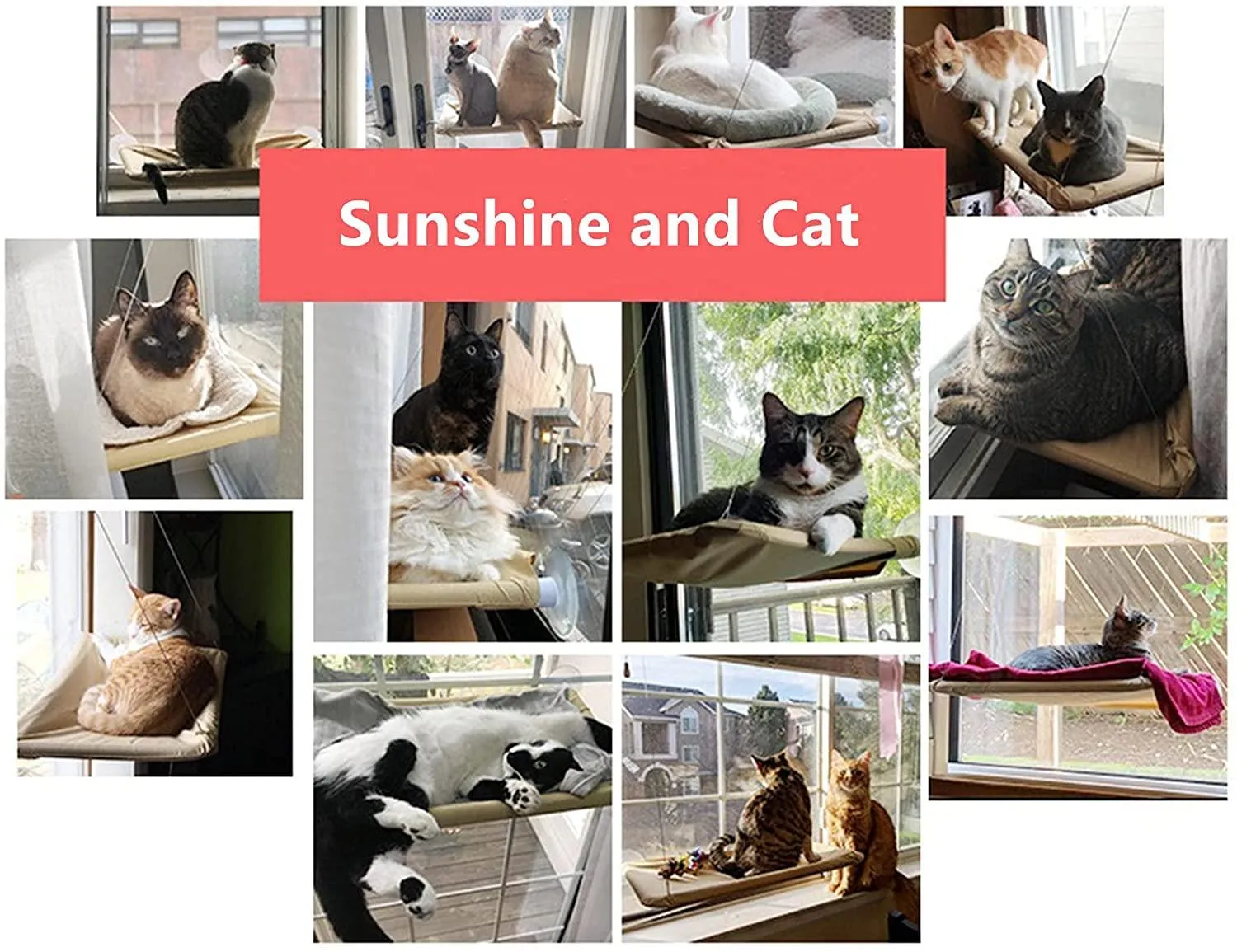 Cat Hammock Bed, Cat Window Bed, Cat Shelves