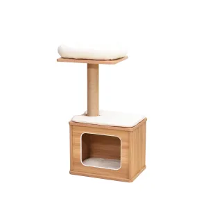 Cedar