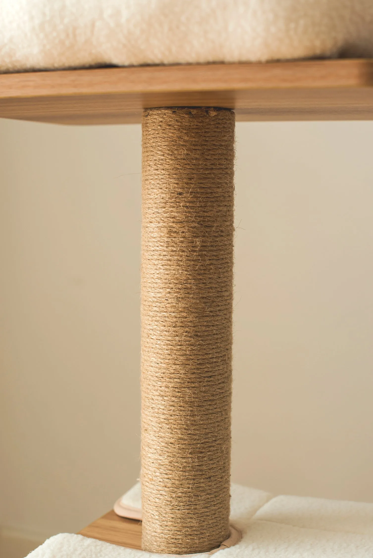 Cedar