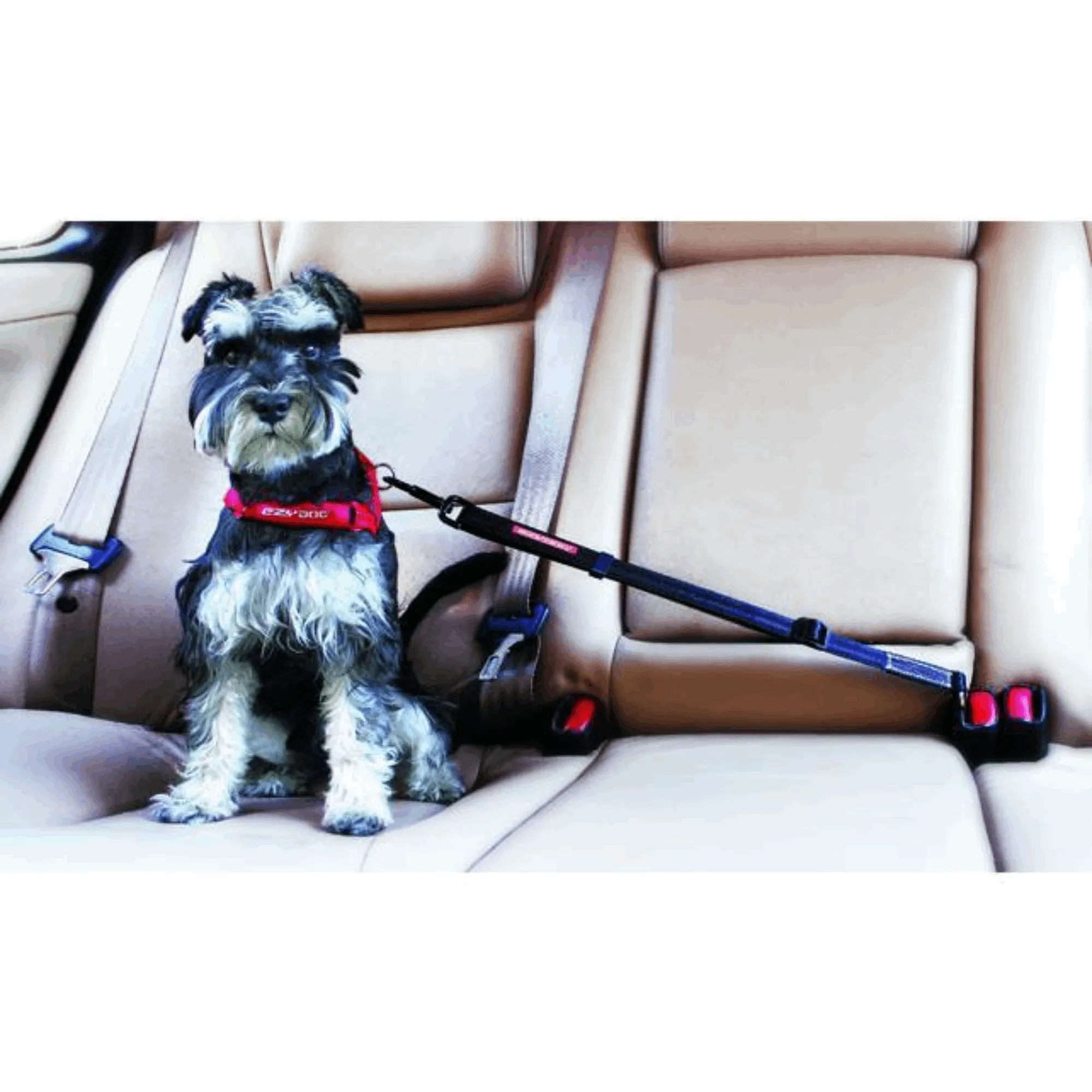 'Click' Adjustable Car Dog Restraint