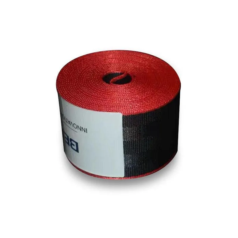 Colored Seat Belts