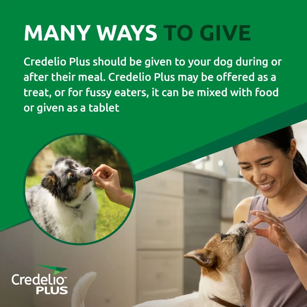 Credelio Plus Small 2.8-5.5kg Pink