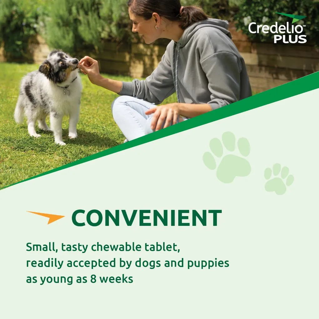 Credelio Plus Small 2.8-5.5kg Pink