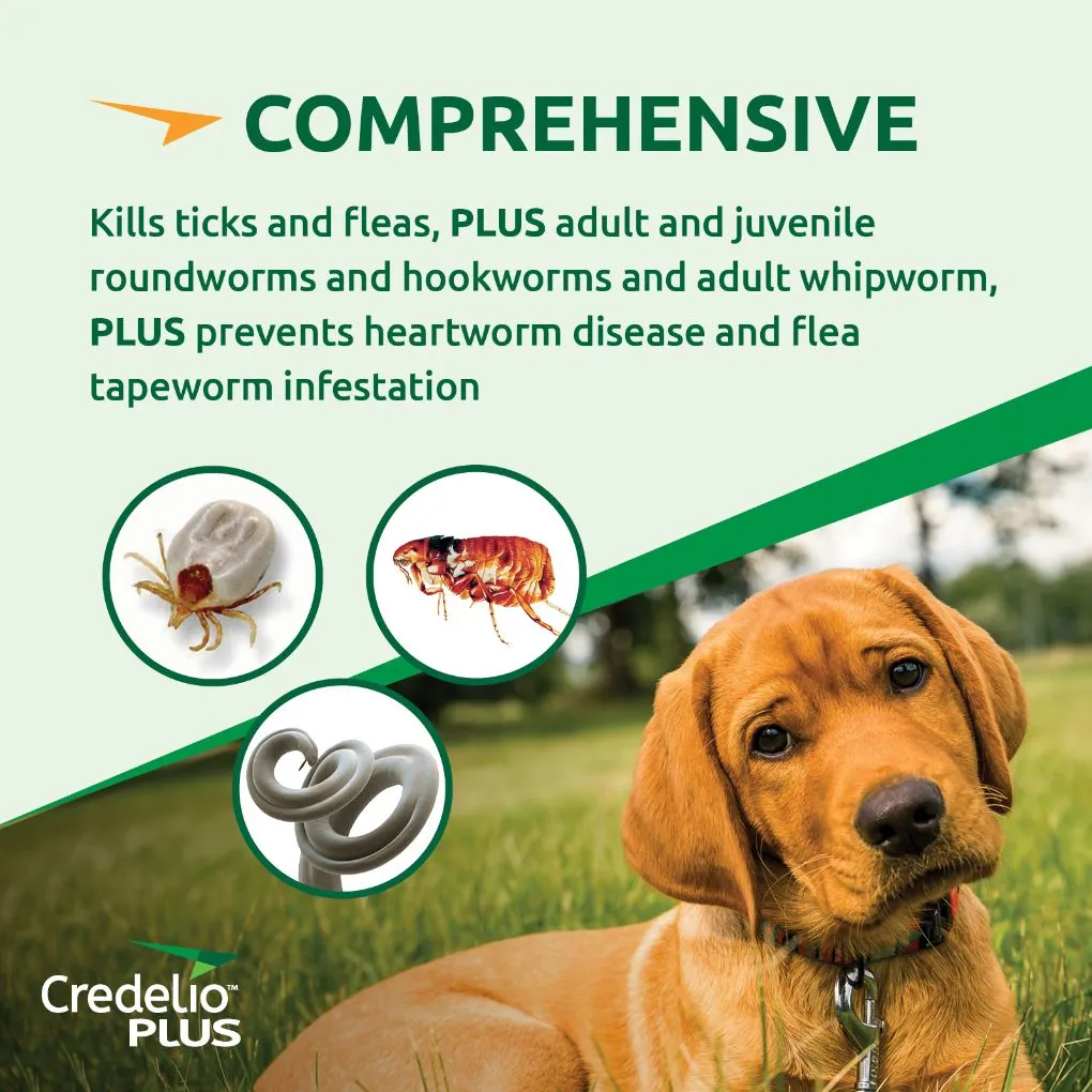 Credelio Plus Small 2.8-5.5kg Pink