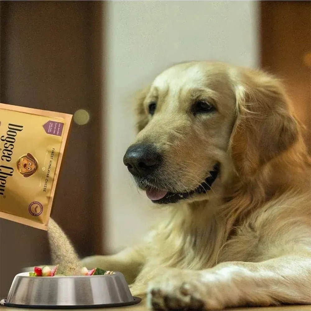 Dogsee Chew Multivitamin Powder for Dog Food