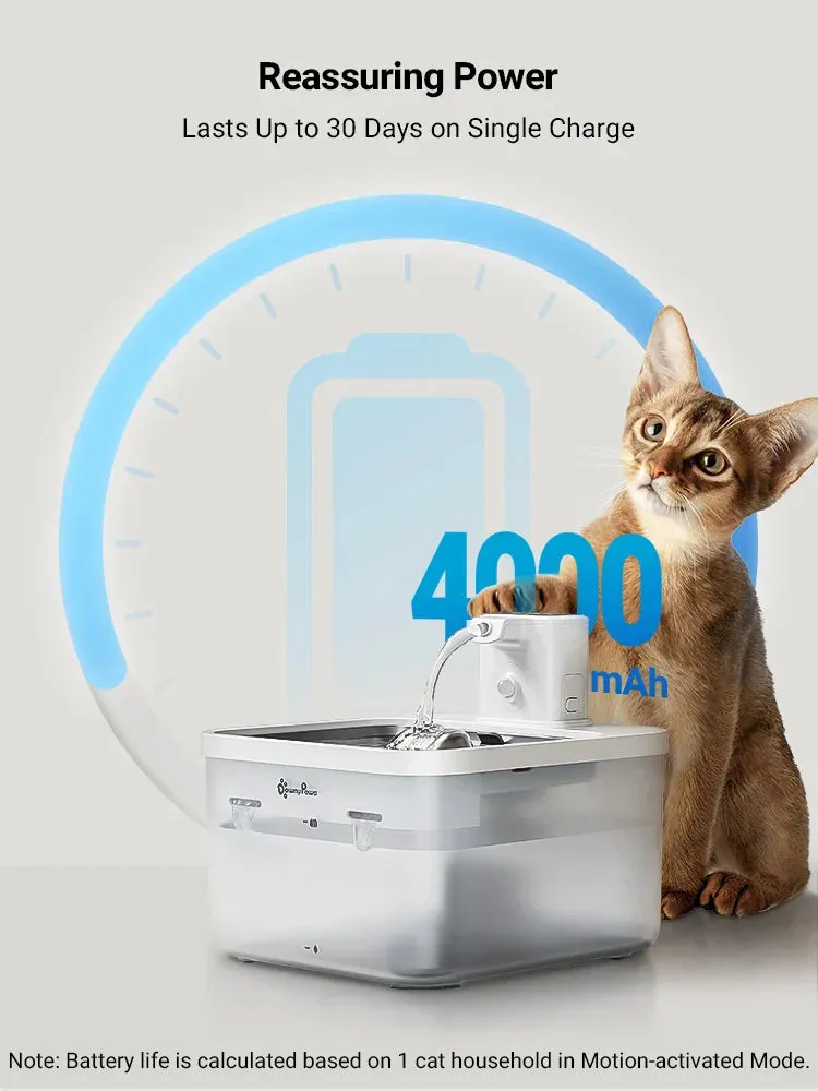 DownyPaws 2.5L Automatic Stainless Steel Cat Water Fountain