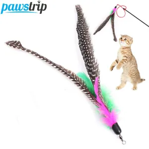 Feather Cat Toy 20cm Long