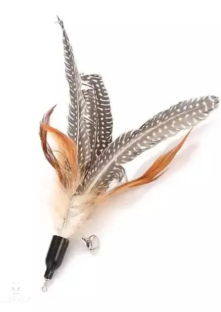 Feather Toy with Bell