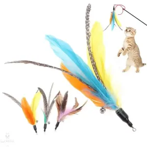 Feather Toy with Bell