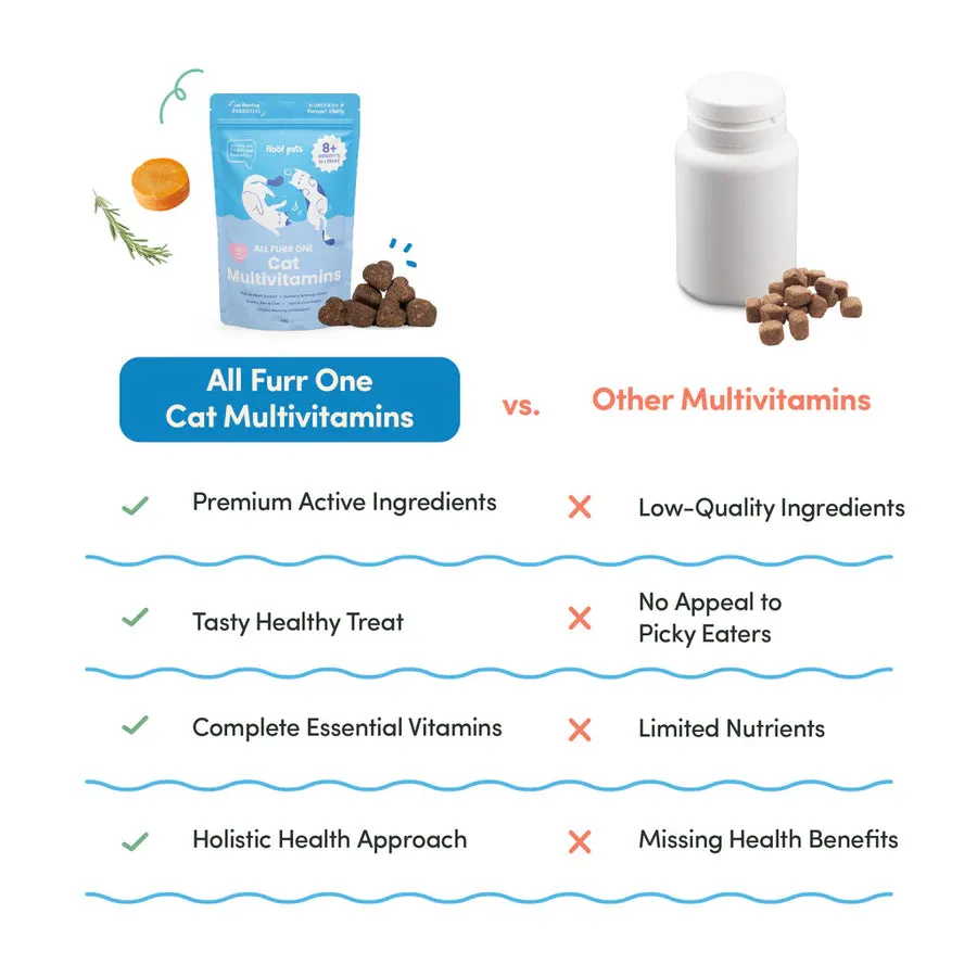 Floof Pets - All Furr One Cat Multivitamins (40g)