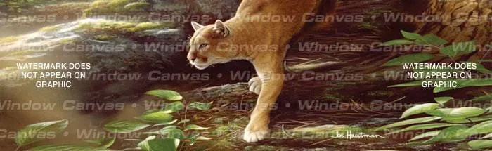 Focus Rear Window Decal