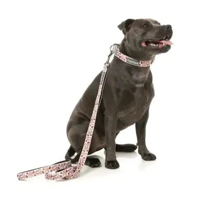 FuzzYard | Daily Grind - Dog Lead