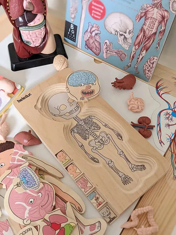 Human Body Anatomy Puzzle Boy 5 Layer by Beleduc Early Science STEM Toys 4yrs 