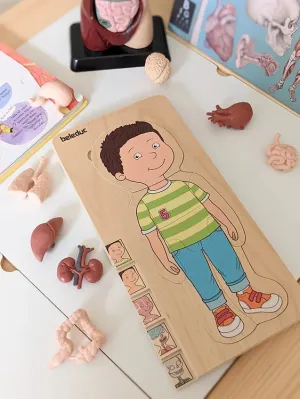 Human Body Anatomy Puzzle Boy 5 Layer by Beleduc Early Science STEM Toys 4yrs 