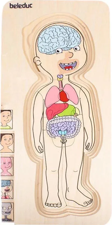 Human Body Anatomy Puzzle Boy 5 Layer by Beleduc Early Science STEM Toys 4yrs 