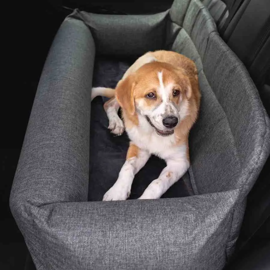 Julibee Large Dog Car Seat Bed