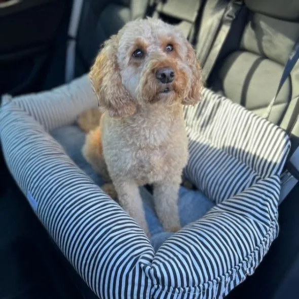 Julibee Large Dog Car Seat Bed