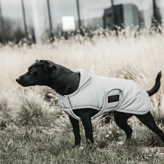 Kentucky Dog Coat Reflective & Water Repellent Belly Cover 150 g