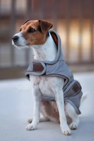 Kentucky Dog Coat Reflective & Water Repellent Belly Cover 150 g