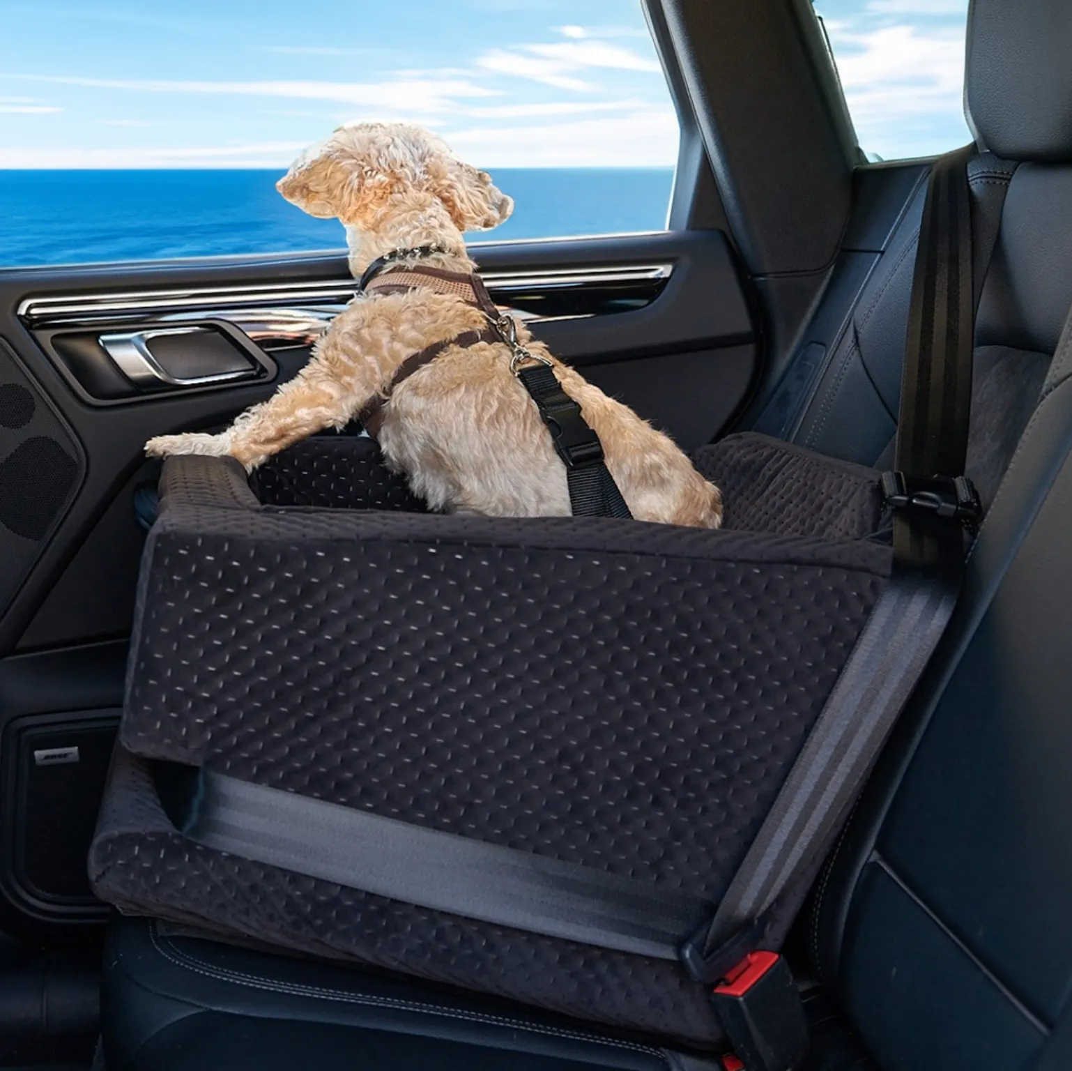 L.A. Dog Company® Rider Turbo Car Seat