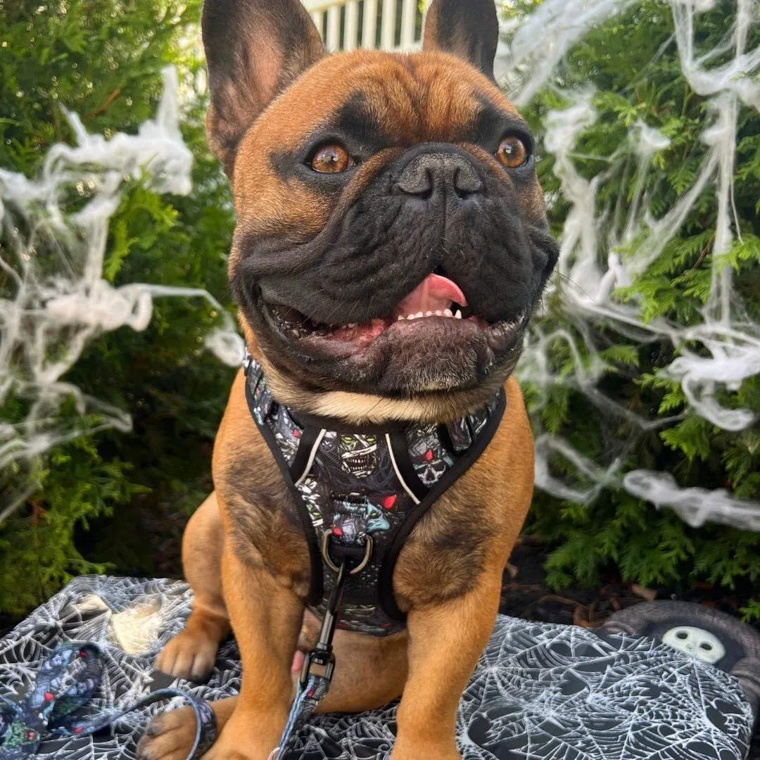 Monster Movie No Pull Dog Harness