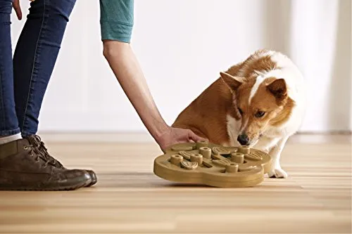 Outward Hound, Nina Ottosson Hide n' Slide Interactive Puzzle Game Toy for Dogs
