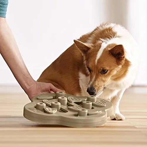 Outward Hound, Nina Ottosson Hide n' Slide Interactive Puzzle Game Toy for Dogs