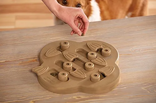 Outward Hound, Nina Ottosson Hide n' Slide Interactive Puzzle Game Toy for Dogs