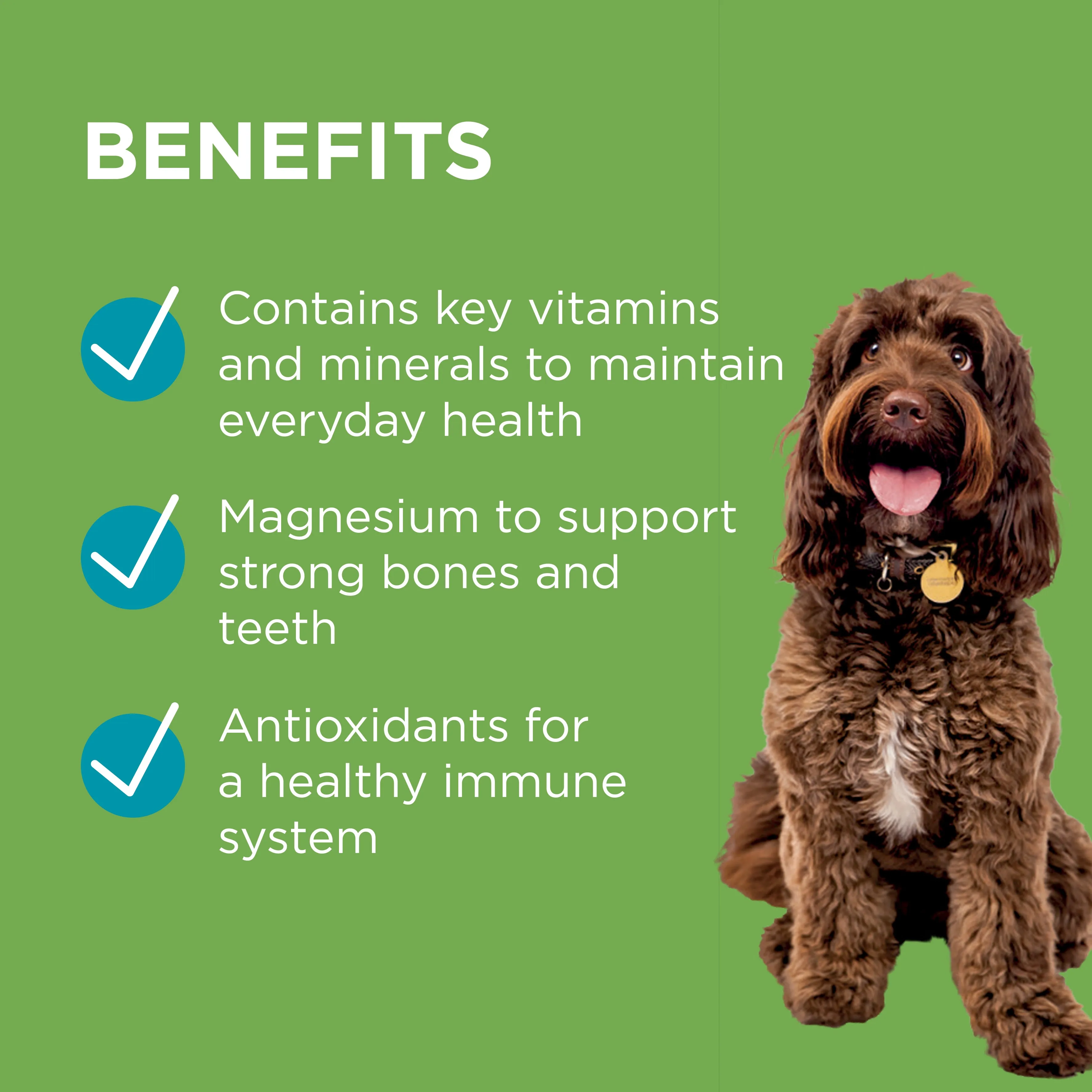 PAW - Wellness and Vitality Multivitamins for Dogs (60pk)
