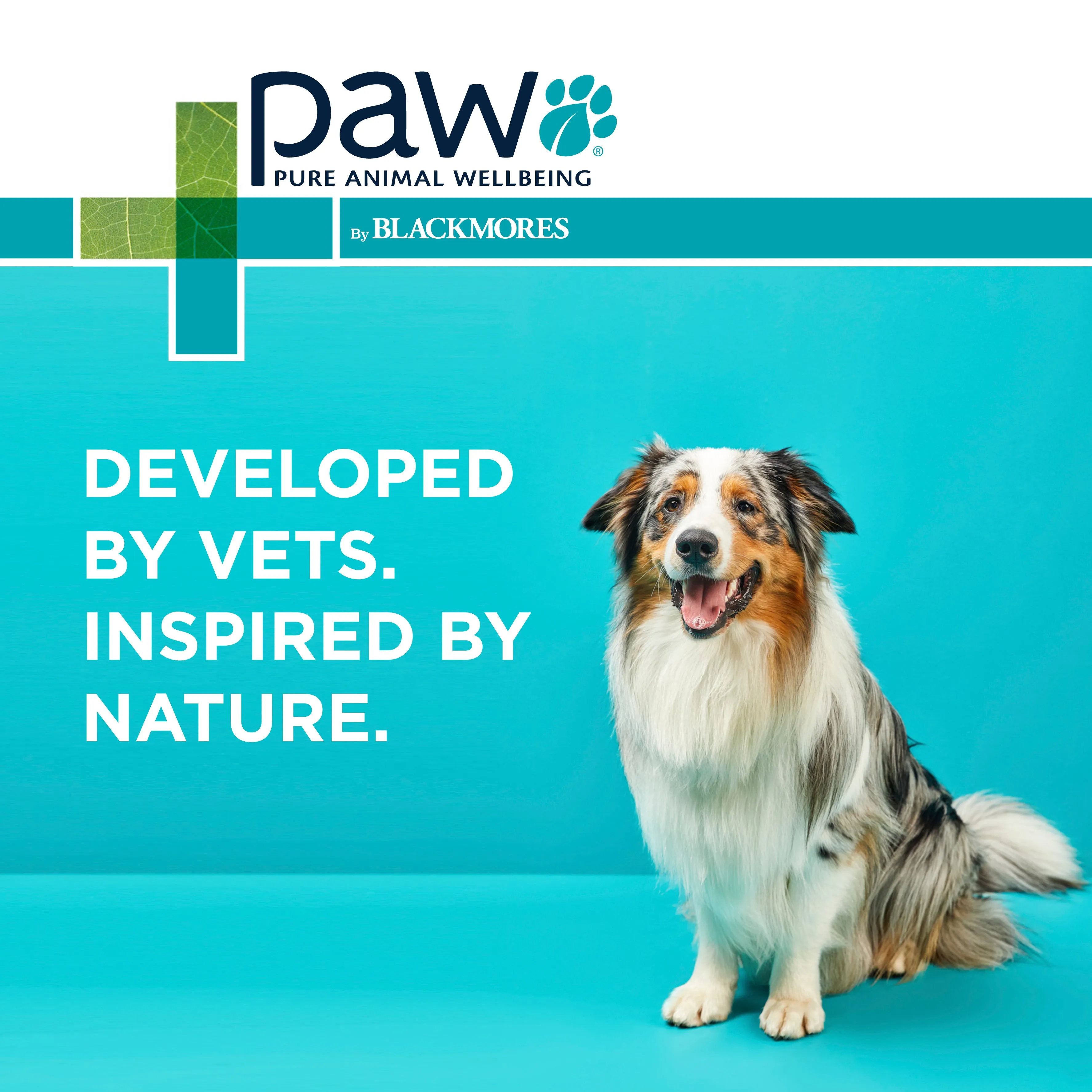PAW - Wellness and Vitality Multivitamins for Dogs (60pk)