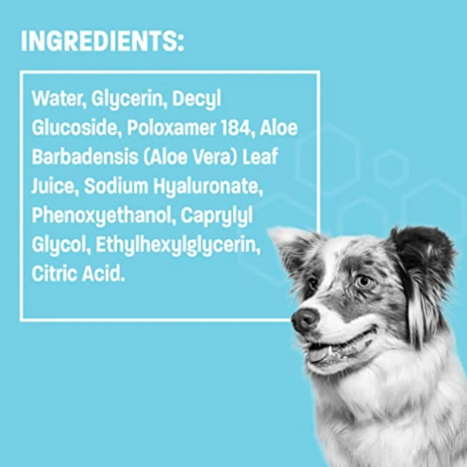 Pet Health Pros Dog and Cat Eye Wipes; Tear Stain Remover; Hygienic and Fragrance-Free; Usage for All Breeds; Pack of 60; White