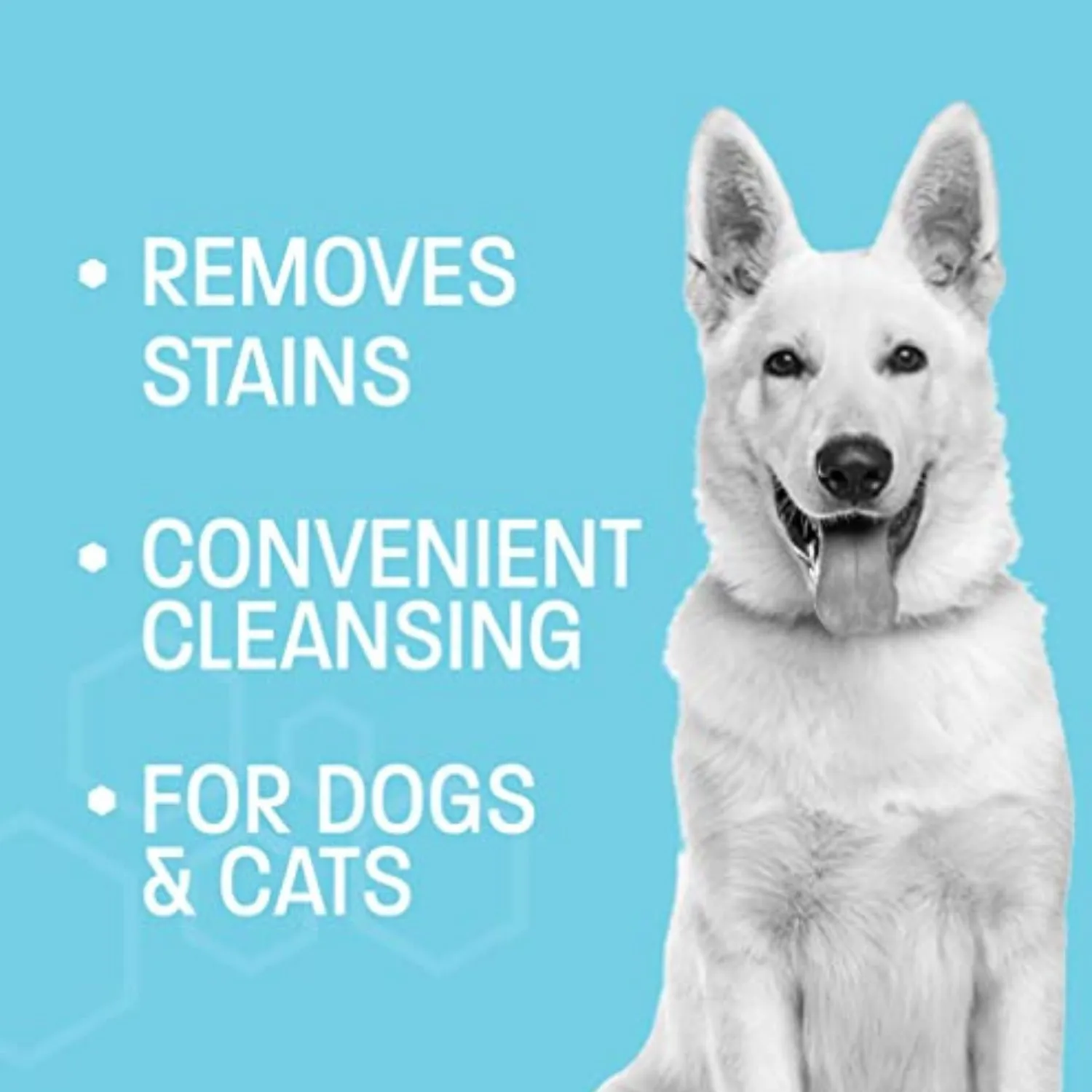 Pet Health Pros Dog and Cat Eye Wipes; Tear Stain Remover; Hygienic and Fragrance-Free; Usage for All Breeds; Pack of 60; White