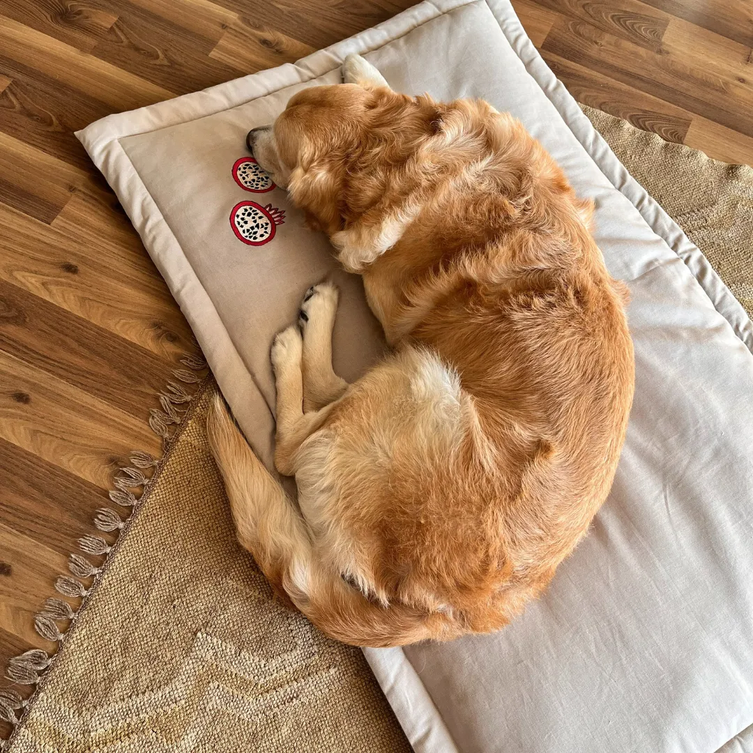 PoochMate Linen Pomegranates Dog Mat