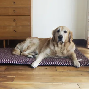PoochMate Prism Apricot-Navy Cotton Dog Mat